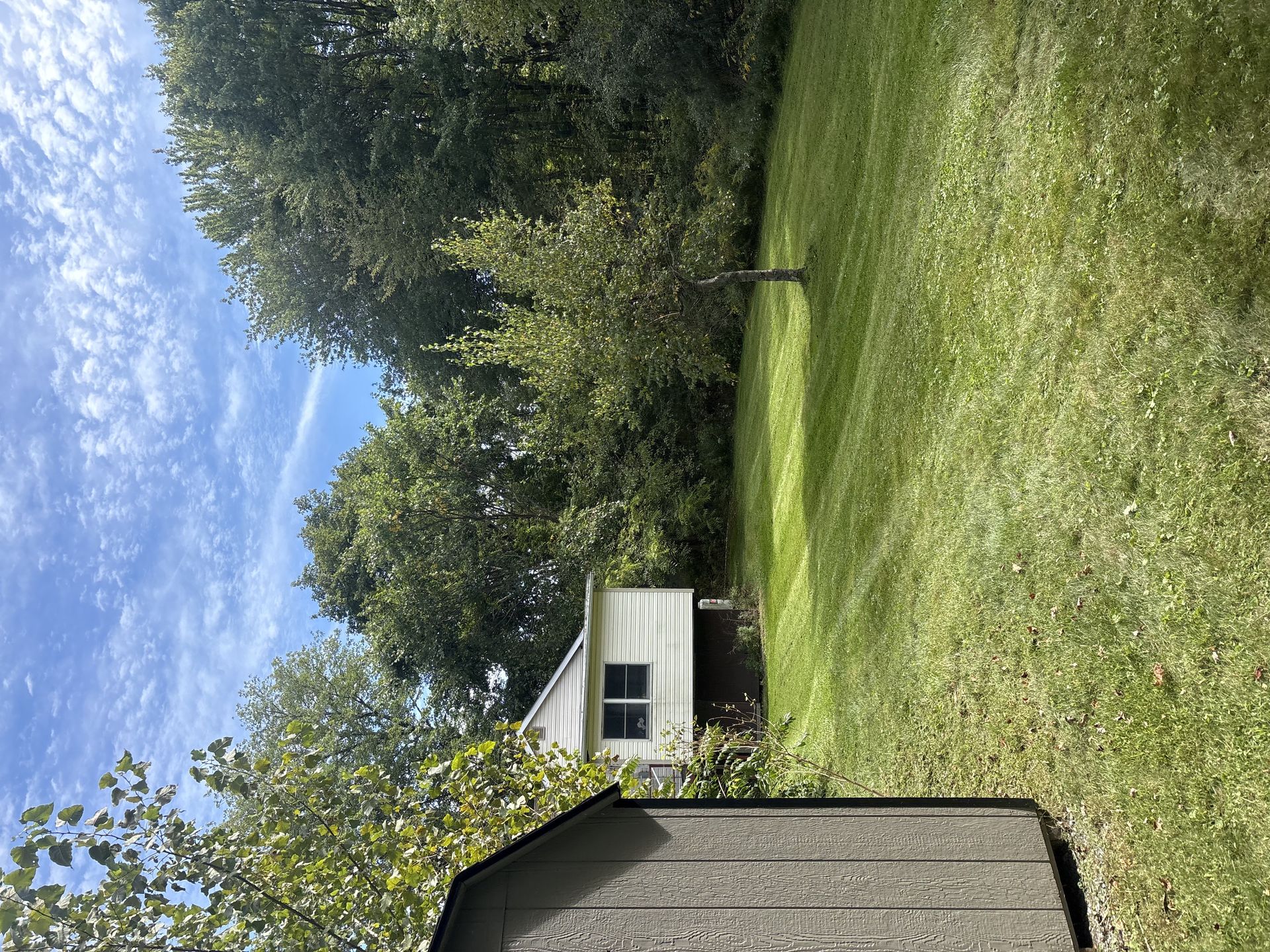 IMG 3943